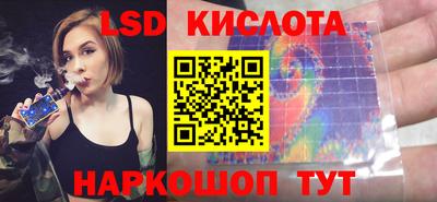 прущие грибы Краснознаменск
