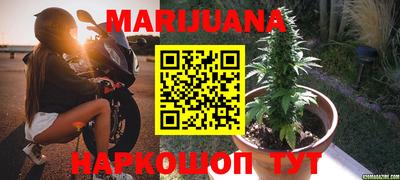 СК Краснодар
