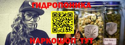 гидра Краснокаменск