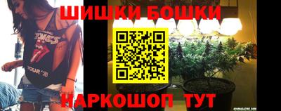 прущие грибы Краснознаменск