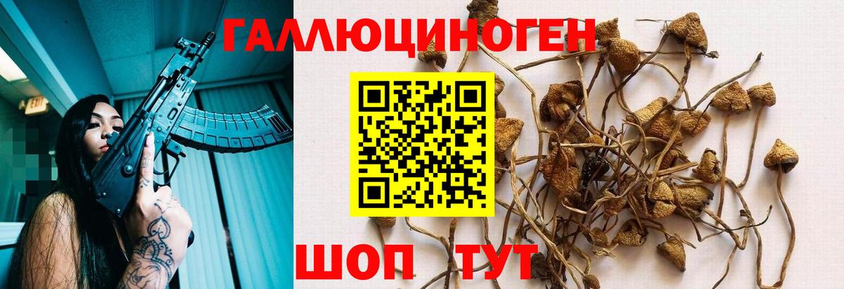 Галлюциногенные грибы Psilocybe  Вход с VPN  где купить наркотик  Комсомольск-на-Амуре 